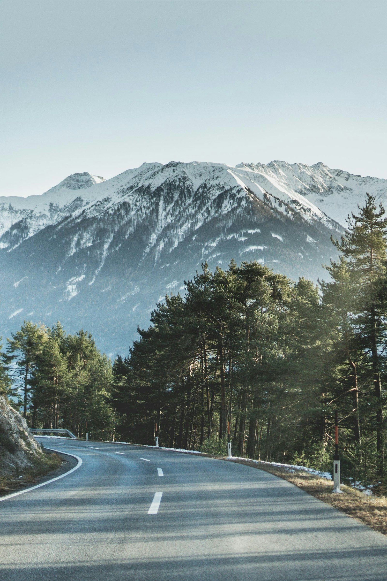 Highway winding through a pine forest towards snow-capped mountains
